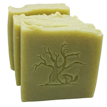 Load image into Gallery viewer, FRESH RISE (3 pack)