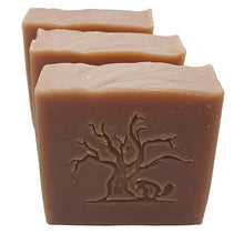 Load image into Gallery viewer, SAMBOUCA BLOSSOM (3 pack)