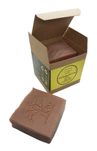 Load image into Gallery viewer, SAMBOUCA BLOSSOM (3 pack)