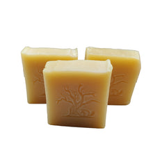 Load image into Gallery viewer, Gentle Unscented Soap (3 pack)